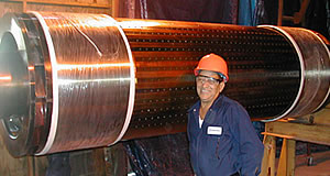 Jamaica Public Services