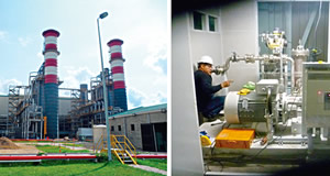 Thermoelectric La Sierra Power Plant