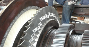 Intervisa Trade - Trinitaria